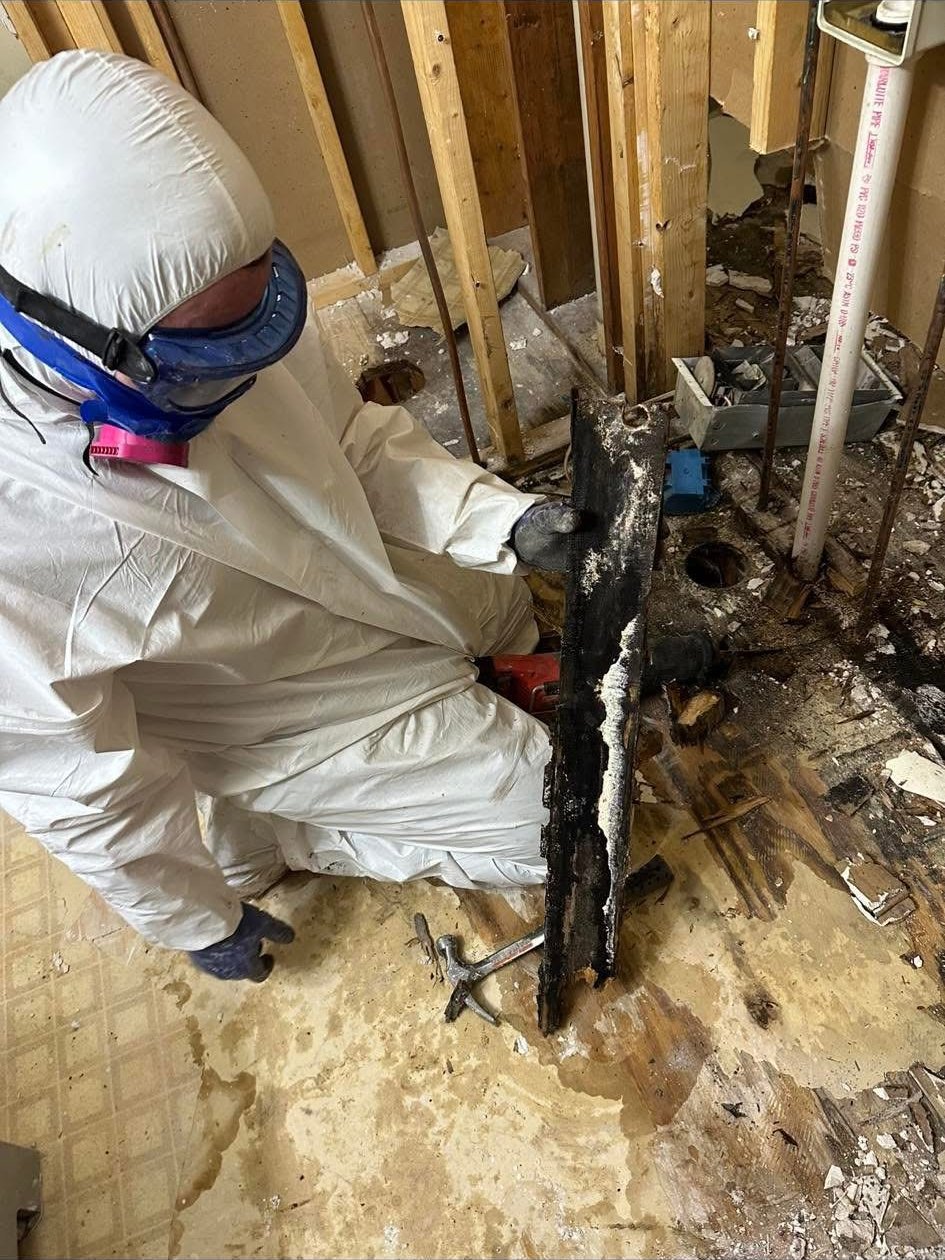 Precision Cleaning Services technician in PPE removing a mold-damaged wall stud during mold extraction